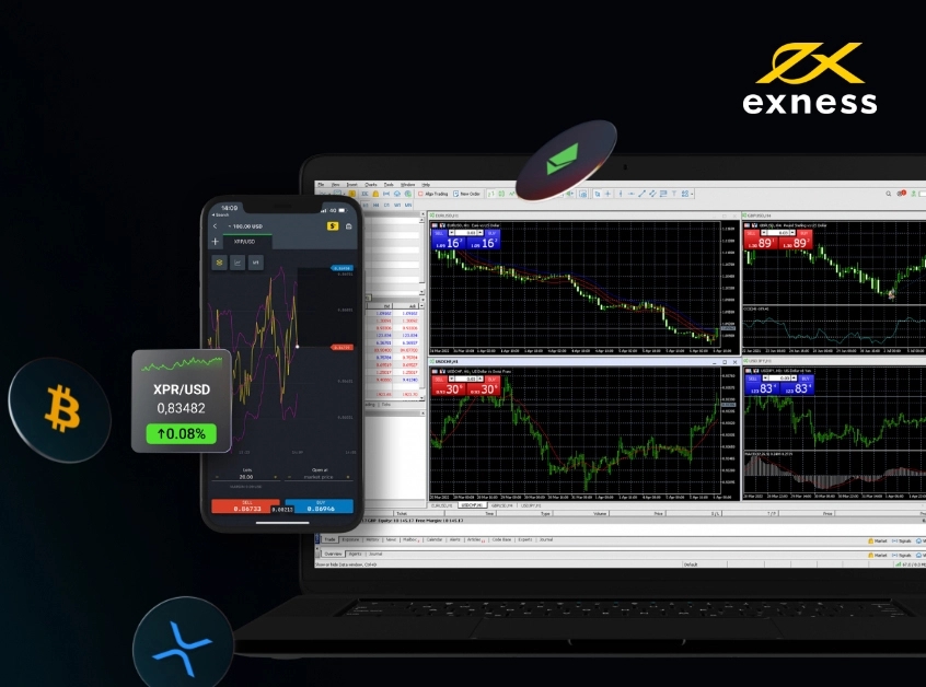 Exness Web终端设置